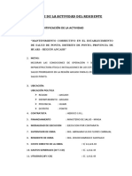 Informe de Residente Ponto