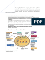 Makalah Antibiotik