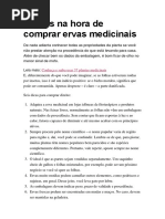 6 Dicas Na Hora de Comprar Ervas Medicinais