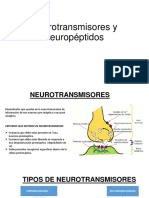 Neurotransmisores y Neuropeptidos