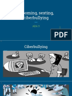 Grooming / Sexting / Bullying