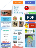 Leaflet Penyuluhan Keratitis