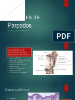 Anatomía de Párpados