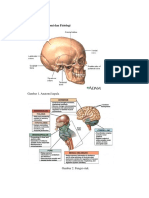 ANATOMY DAN FISIOLOGI