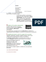 La Planificación y La Centralización