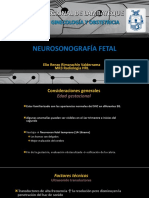 Neurosonografía Fetal