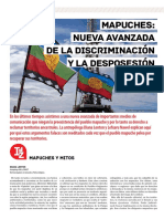 28 31 Mapuche