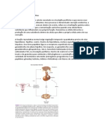 Ciclo Menstrual