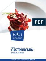 Gastronomia2018 Prog Academico