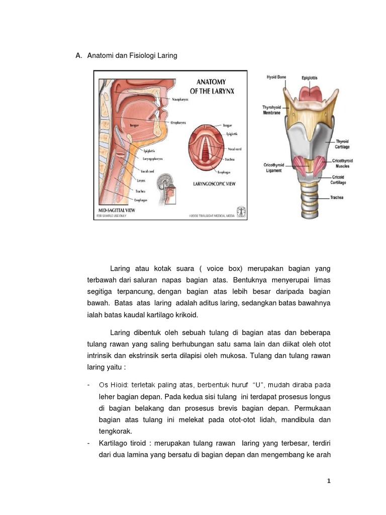 Askep Ca Laring Dan Perawatan Trakeostom