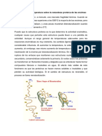 Pregunta 5 Lab Bioquimica