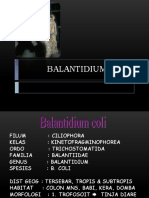 Balantidium Coli