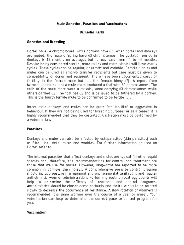 Mule Genetics and Health Management | PDF | Mule | Equidae