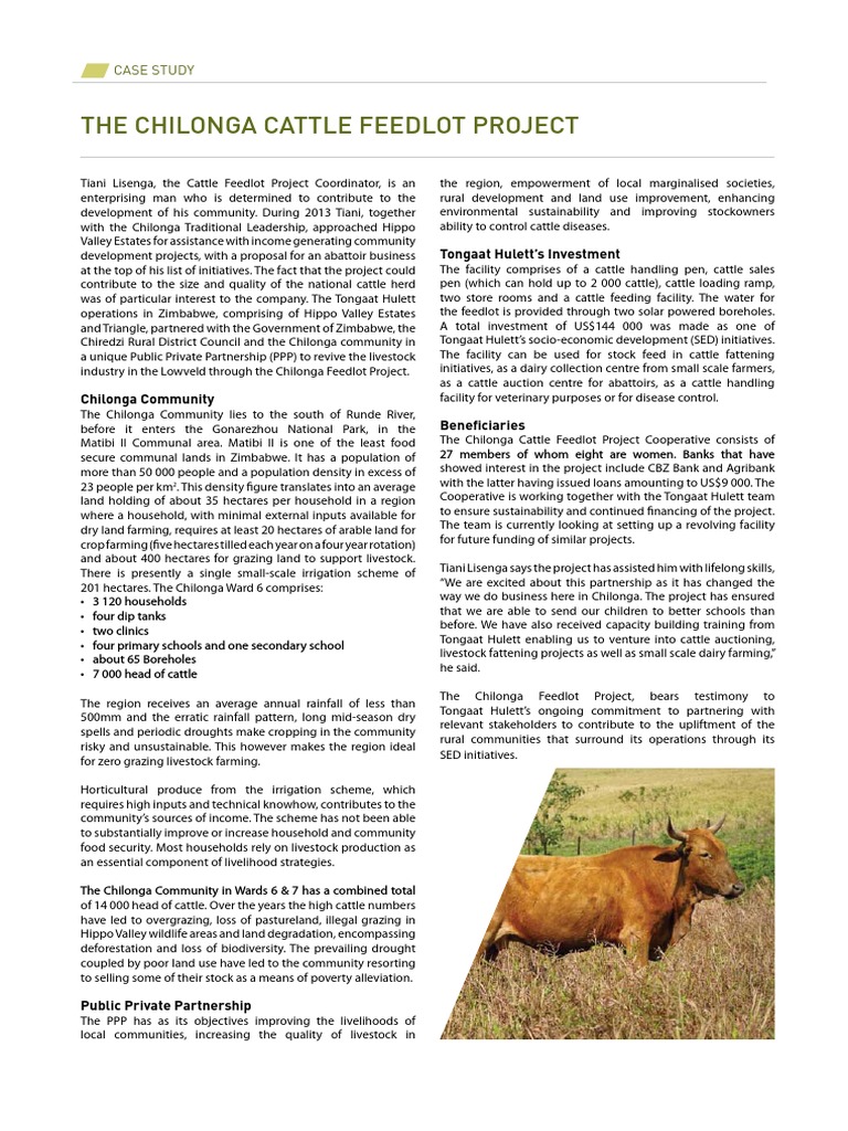 cattlefeedlotproject.pdf Cattle Livestock