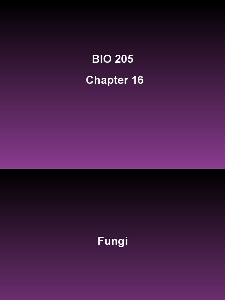 BIO 205 Chapter 16 Powerpoint | PDF