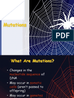 24. Types of Mutations