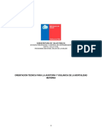 Orientación Técnica Para La Auditoría y Vigilancia de La Mortalidad Materna 06.04.2016