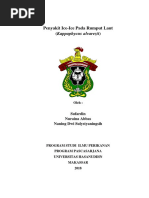 Download Makalah Penyakit Ice-ice by Nurilah Najamudin SN374879779 doc pdf