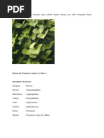 Download BROTOWALI BAHAN by adix SN374883140 doc pdf