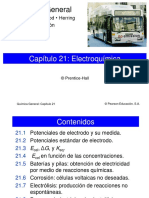 21 Electroquimica.pdf