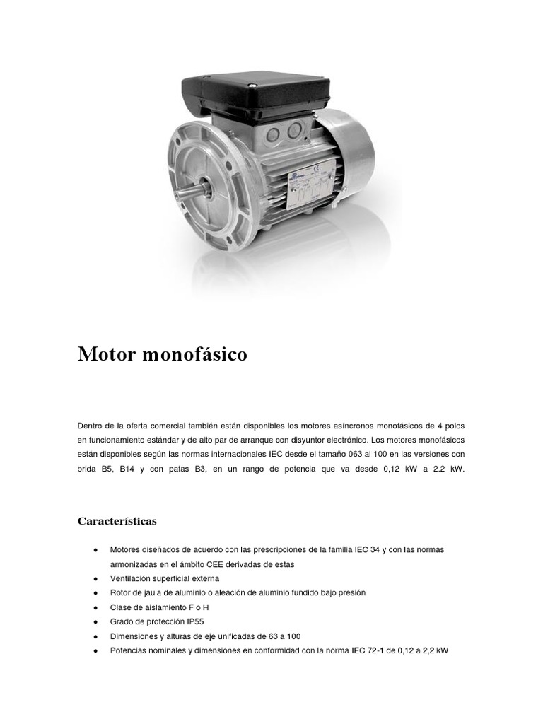 Descripción general de los motores monofásicos y sus características ...