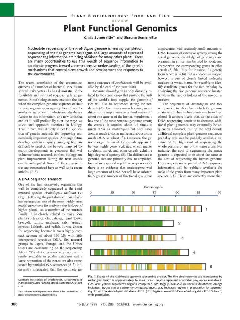 Advancements in Plant Genomics Research | PDF | Arabidopsis Thaliana | Gene
