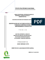 Identificación de Factores de Éxito en Pequeñas y Medianas Empresas Desde El Emprendimiento Productivo