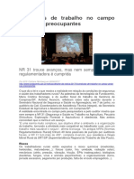 REIMBERG- 2017-Condições de Trabalho No Campo Ainda São Preocupantes