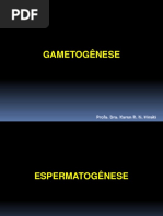 Gametogênese