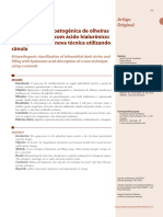 Classificacao Etiopatogenica de Olheiras e Preenchimento Com Acido Hialuronico Descricao de Uma Nova Tecnica Utilizando Canula