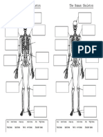 Skeleton Worksheet2