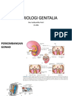Embriologi Genitalia 