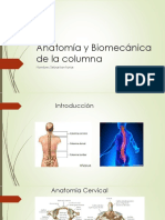 Columna