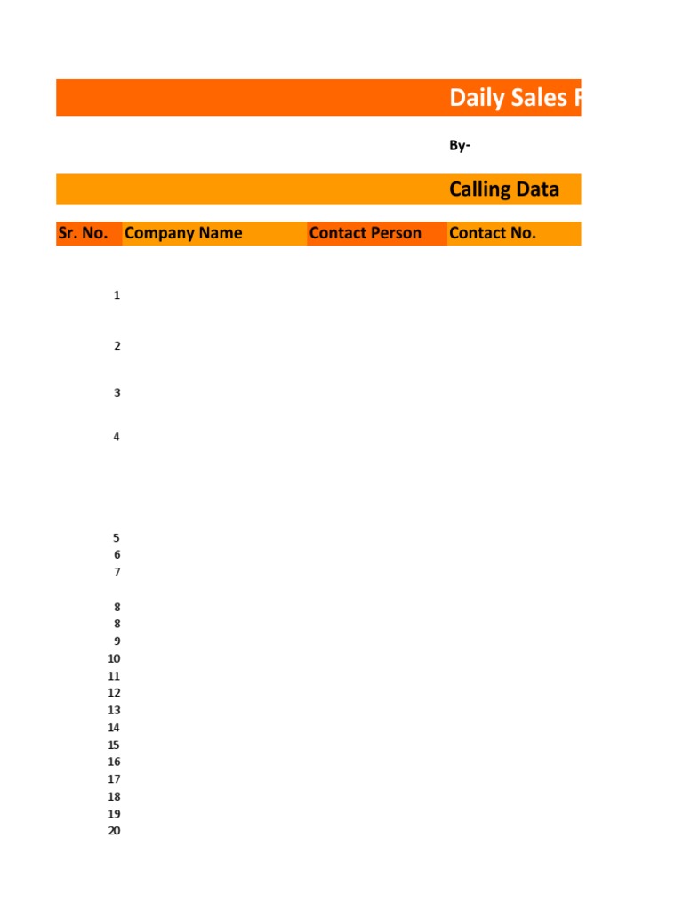 Daily Sales Report: Calling Data | PDF
