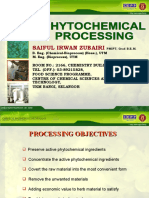 Phytochemical Processing Presentation