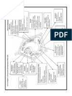 Form 4 Biology Chapter 1