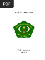 Download BatuSaluranKemih by pinkylydia SN37493311 doc pdf