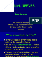 Cranial Nerves: Dede Gunawan