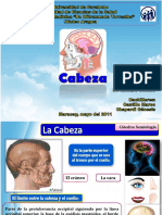 Exploracion Fisica de Cabeza