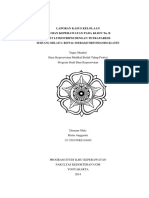 LP Litotripsi Tetraparese PDF