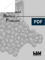 Pub2363blueberry2 PDF