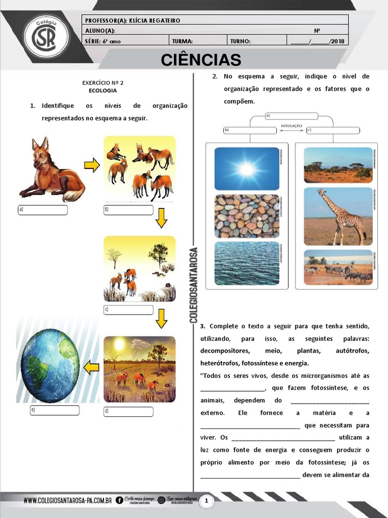 6ano Atividade 02 | PDF | Ecossistema | Ciência Ambiental