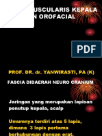 4.15 Sistem Musculoskeletal Kepala & Orofacial