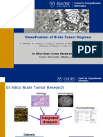 026B-Cholleti-Classification of Brain Tumor Regions