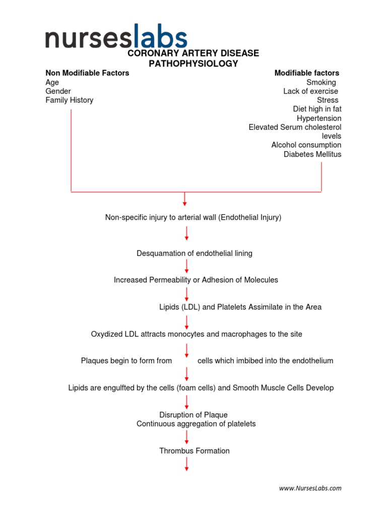 Coronary Artery Disease Pathophysiology | PDF | Coronary Artery Disease ...