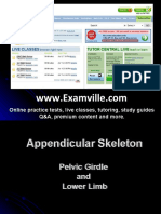 Appendicular Tutorial PELVIC and LOWER LIMB