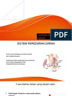 Peredaran Darah Ibu Zay