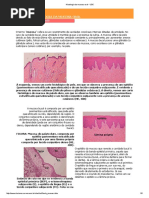 Histologia Da Mucosa Oral - UBC