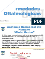 Anatomía Básica Del Ojo Humano EXPO