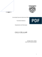 ciclo celular.pdf